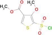 Methyl 2-(Chlorosulfonyl)-3-methoxythiophene-4-carboxylate