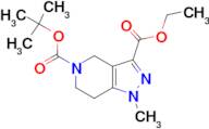 5-tert-Butyl 3-ethyl 1-methyl-1,4,6,7-tetrahydro5-H-pyrazole[4,3,c]pyridine-3,5-dicarboxylate