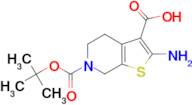 2-Amino-6-(tert-butoxycarbonyl)-4,5,6,7-tetrahydrothieno-[2,3-c]-pyridine-3-carboxylic acid