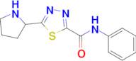 N-Phenyl-5-pyrrolidin-2-yl-1,3,4-thiadiazole-2-carboxamide