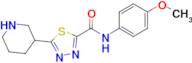 N-(4-Methyoxyphenyl)-5-piperidin-3-yl-1,3,4-thiadiazole-2-carboxamide