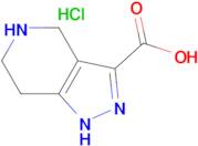 4,5,6,7-Tetrahydro-1H-pyrazolo[4,3-c]pyridin-3-carboxylic acid hydrochloride