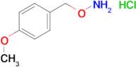 O-(4-Methoxy-benzyl)-hydroxylamine hydrochloride