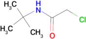 N-tert-Butyl-2-chloroacetamide