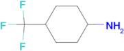 4-(Trifluoromethyl)cyclohexylamine