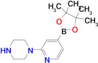 2-(Piperazin-1-yl)pyridine-4-boronic acid pinacol ester