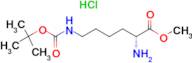 H-d-lys(boc)-ome.hcl