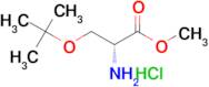 h-d-ser(tbu)-ome.hcl