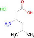 L-ß-Homoleucine hydrochloride