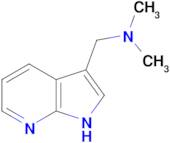 N,N-Dimethyl-1-(1H-pyrrolo[2,3-b]pyridin-3-yl)methanamine