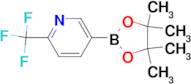 5-(4,4,5,5-Tetramethyl-1,3,2-dioxaborolan-2-yl)-2-(trifluoromethyl)pyridine