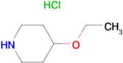 4-Ethoxy-piperidine hydrochloride