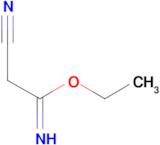 Ethyl 2-cyanoethanimidoate