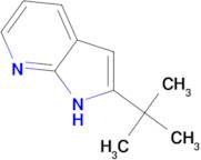 2-tert-Butyl-1H-pyrrolo[2,3-b]pyridine