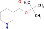 tert-Butyl piperidine-3-carboxylate