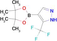 3-Trifluoromethyl-1H-pyrazole-4-boronic acid pinacol ester