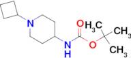 4-(Boc-Amino)-1-cyclobutyl-piperidine