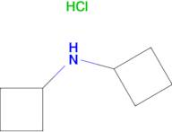 Dicyclobutylamine hydrochloride