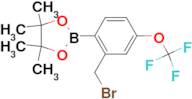 2-Bromoethyl-4-trifluoromethoxyphenylboronic acidpinacol ester