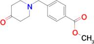 Methyl 4-((4-oxopiperidin-1-yl)methyl)benzoate