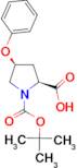 (2S,4S)-Boc-4-Phenoxy-pyrrolidine-2-carboxylic acid