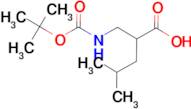 2-Isobutyl-3-(Boc-amino)propionic acid