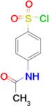 4-Acetamidobenzenesulfonyl chloride