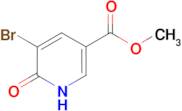 Methyl 5-bromo-6-hydroxynicotinate