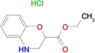 3,4-Dihydro-2H-benzo[1,4]oxazine-2-carboxylic acidethyl ester hydrochloride