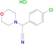 2-(4-Chlorophenyl)-2-morpholinoacetonitrile hydrochloride