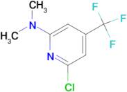(6-Chloro-4-trifluoromethyl-pyridin-2-yl)-dimethyl-amine