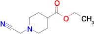Ethyl 1-cyanomethyl-iso-nipecotate
