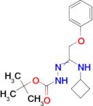 N'-[1-Cyclobutylamino-2-phenoxyethylidene]hydrazinecarboxylic acid tert-butyl ester