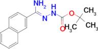 N'-[1-Amino-1-naphthalen-2-ylmethylidene]hydrazine carboxylic acid tert-butyl ester