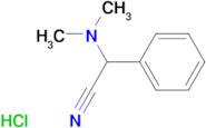 Dimethylamino-phenyl-acetonitrile hydrochloride