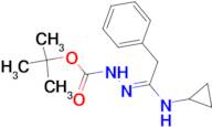 N'-[1-Cyclopropylamino-2-phenylethylidene]hydrazine carboxylic acid tert-butyl ester