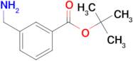 tert-Butyl 3-aminomethylbenzoate