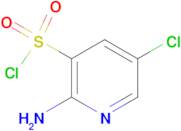 2-Amino-5-chloro-pyridine-3-sulfonyl chloride