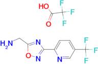 C-[3-(5'-(Trifluoromethyl)pyridin-2'-yl)-[1,2,4]oxadiazol-5-yl]-methylaminonium trifluoroacetate