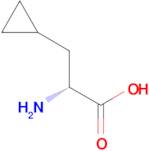 D-3-Cyclopropylalanine