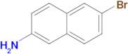 2-Amino-6-bromonaphthalene