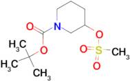 1-Boc-3-Methanesulphonyloxypiperidine