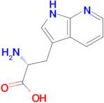 D-7-Azatryptophan