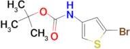 3-N-Boc-Amino-5-bromothiophene