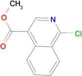1-Chloroisoquinoline-4-carboxylic acid methyl ester