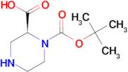 (S)-1-N-Boc-piperazine-2-carboxylic acid