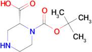 (R)-1-N-Boc-Piperazine-2-carboxylic acid