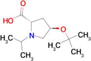 (2S,4R)-4-tert-Butoxy-1-isopropylproline