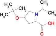 (2S,4S)-4-tert-Butoxy-1-isopropyl-proline