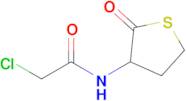N-Chloroacetyl-DL-homocysteine thiolactone